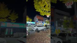 Download lagu Pohang’s Most Famous Street #pohang #korea #entertainment #street mp3