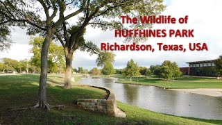 Doc Butler presents Huffhines Park Wildlife