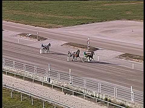 Trotto 24/01/2020 - prova di qualifica