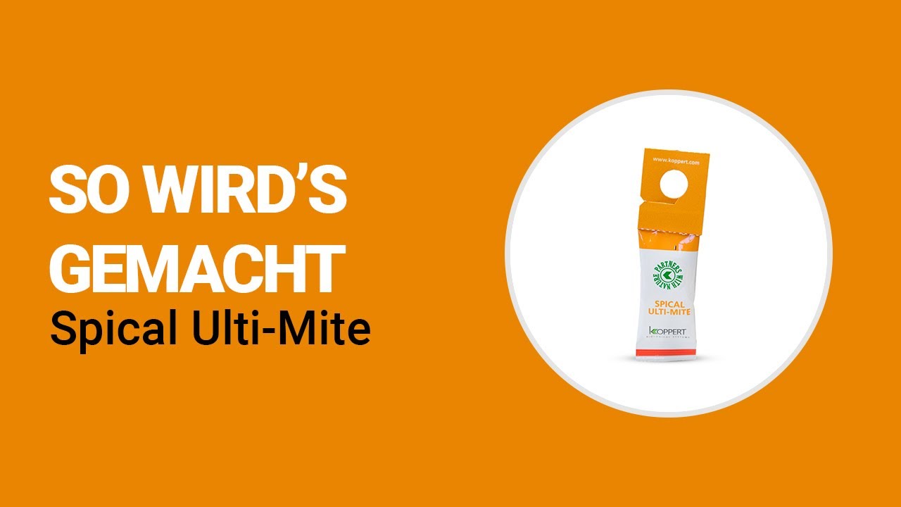 Video preview poster