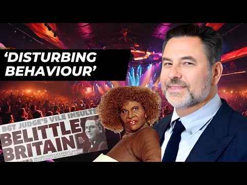 David Walliams: A Career of Controversy | Documentary | Little Britain, Britain's Got Talent