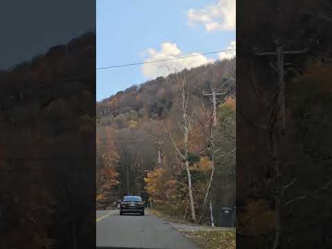 ##nature #fallseason ##