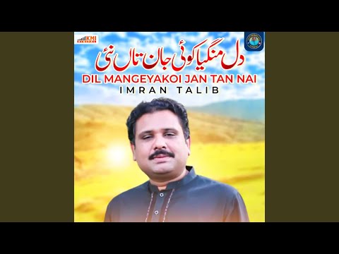 Dil Mangeya Koi Jan Tan Nai