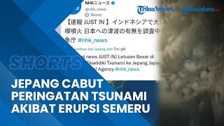 Jepang Akhirnya Cabut Peringatan Tsunami, Ini Penjelasan Peneliti ITS Soal Erupsi Gunung Semeru