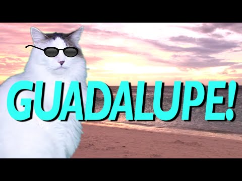 HAPPY BIRTHDAY GUADALUPE! - EPIC CAT Happy Birthday Song