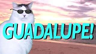 HAPPY BIRTHDAY GUADALUPE! - EPIC CAT Happy Birthday Song