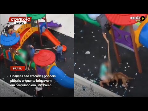 Vídeo: Crianças são atacadas por dois pitbulls enquanto brincavam em ...