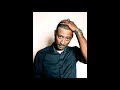 Madlib - Symphony (14 minute version)