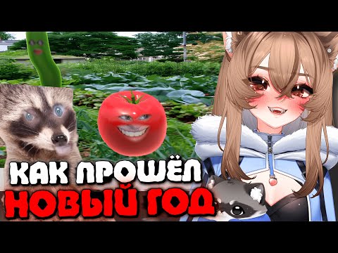 КАМЫШ ПРО ТО, ЧТО БЫЛО НА НГ и ПОСЛЕ НЕГО | Моменты Камыша