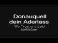 Rammstein Donaukinder Lyrics HD