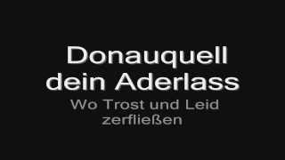 Kadr z teledysku Donaukinder tekst piosenki Rammstein