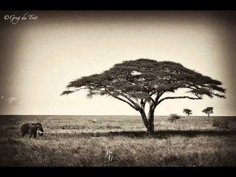 Masaladosa - Ganpati