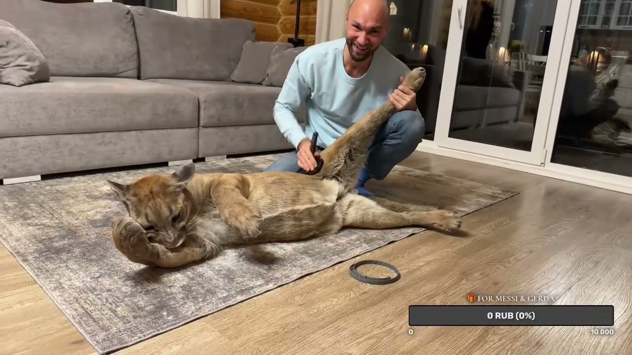 Прямой эфир. 2 ноября