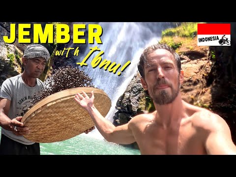 I Can't Believe This Is JEMBER! 🇮🇩