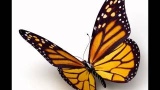 Greg Graffin Dream of Unity