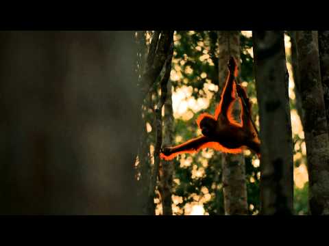 A National Geographic ad