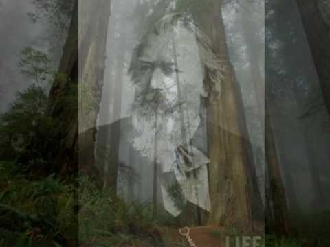 Christa Ludwig - Die Mainacht (Brahms)