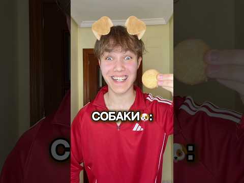 А КАКОЕ ДОМАШНЕЕ ЖИВОТНОЕ У ТЕБЯ?😎 #юмор #животные #а4