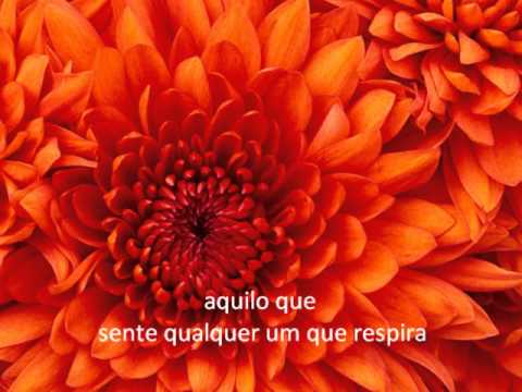 Ser Fazer E Acontecer - Gonzaguinha