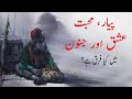 Pyaar Mohabbat Ishk Junoon پیار محبت عشق اور جنون میں کیا فرق ہے ارد