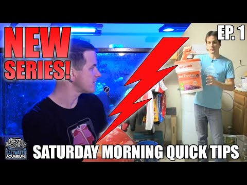 MIXING SALT for Your Saltwater Tank - Saturday Morning Quick Tips - NEW SERIES!