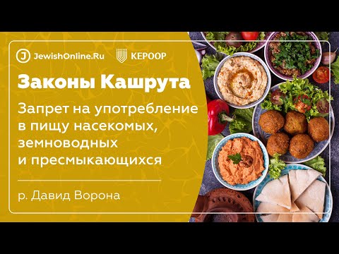 Законы кашрута. Урок 9. Запрет на употребление в пищу насекомых, земноводных и пресмыкающихся