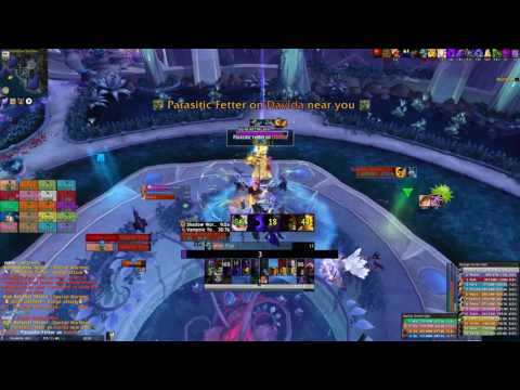 Sanctity vs. High Botanist Tel'arn Mythic (SPriest POV)