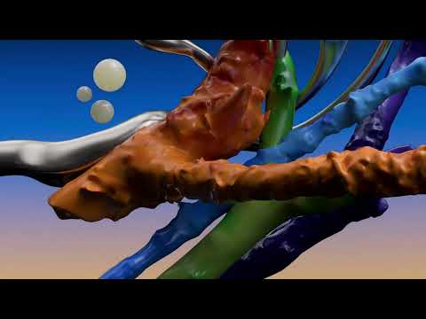 TAU036 | Dominik Marz & Radial Gaze - E Functions