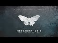 5 Violence Metamorphosis Original Soundtrack