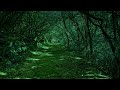 Endless Beauty Of Nature Amazing Forest Love This Nature