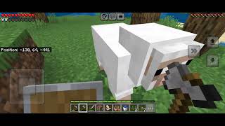 Survival world 13