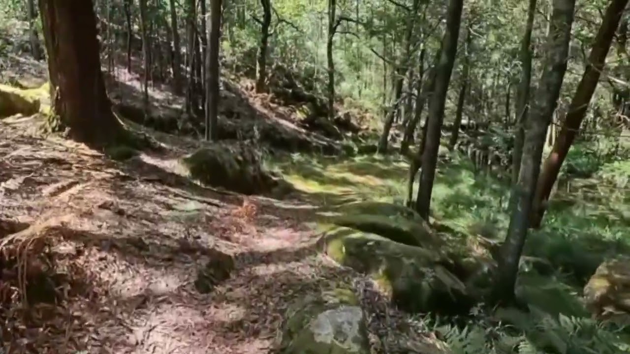 Vídeo do imóvel