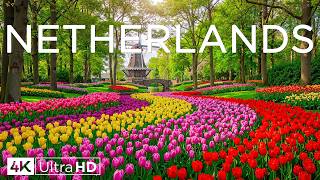 Netherlands 4K – Spring Blooming Tulip Gardens and Peaceful Canals Beneath Soft Spring Skies