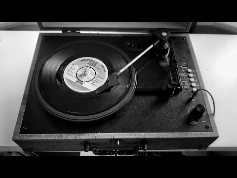 The Animals - The House Of The Rising Sun / 1964 (45 RPM Vinyl)