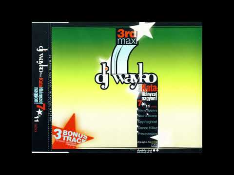Dj Wayko feat. Kata - Hiányzol Nagyon (Club mix)