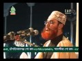 Delwar Hossain Sayeedi Allah Siristir Bishalota