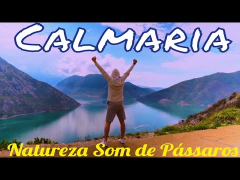 🔵 Música para Relaxar ∣ Natureza ∣ Som de Pássaros ∣ Acalmar a Mente 🎼