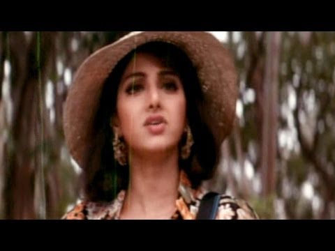 Govinda Govinda Movie || Bear Tried to Destroys Sridevi In Forest