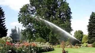 25.08.2015 - Nacionālais Botāniskais dārzs - National Botanic garden of Latvia, Salaspils