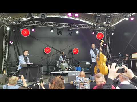 THE NEW TONES aka NewTones - Love, Love, Love - live at Feel the 50s #7, Venlo 2019