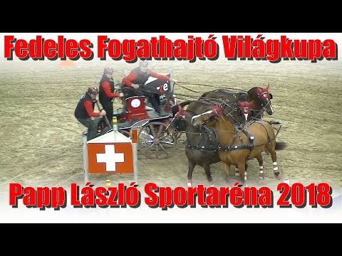 Fedeles Fogathajtó Világkupa 2018.12.02.