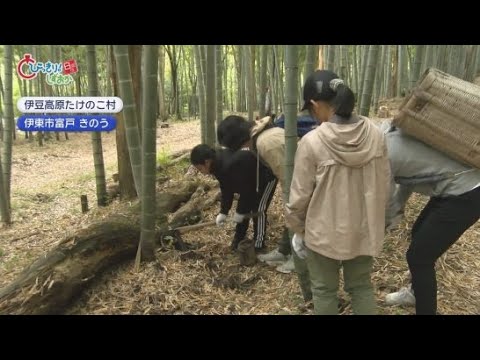 YouTube Video 春の味覚を求めて大勢の観光客が「伊豆高原たけのこ村」に　静岡・伊東市