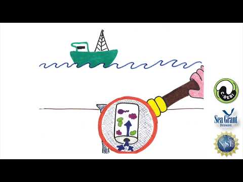 15 Second Science - Studying microbes beneath the sea floor