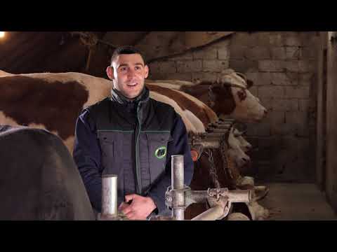 Biram selo ep. 79 24.03.2021. Milan i Darko Plavšić, Samaila, mlečno govedarstvo