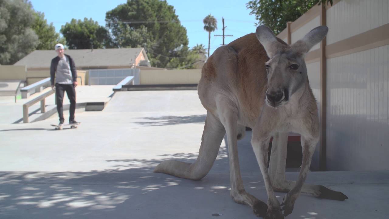 Shane O'Neill y su 'happy place' si ganara la Street League