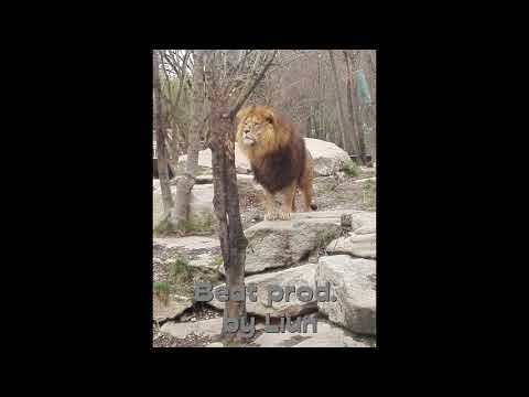 87. Liun Instrumental / Zoli Beatz - Rap Party Beat / Mic Check Instrumental (97 BPM) prod. by Liun