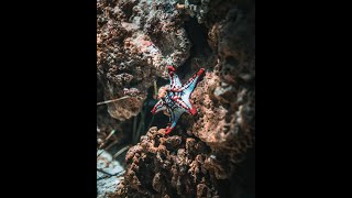 Download lagu Surat An-Naba Recitation | Surah Al-Naba | सूरह नबा | سورة النبأ | 078 | Al Quran Abdullah Al-Khalaf mp3