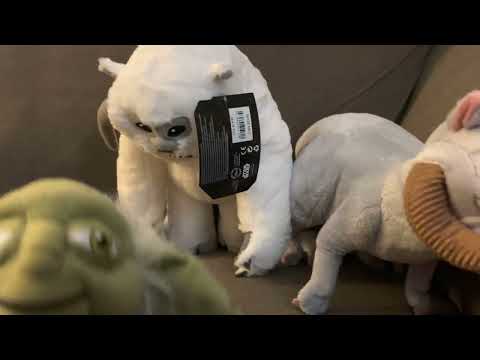 Star Wars Galactic Starcruiser Day 138/365 Walt Disney World A Sad Day Here 365 Days of Disney Plush