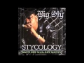 Big Sty - Temptations feat Chief - Stycology