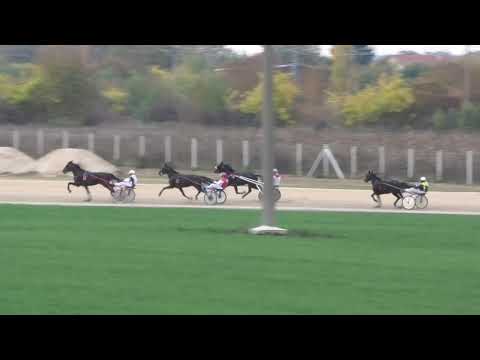 Trka "Štala Dream Catcher-Sombor" 23.10.2021 Sigar - Petar Knekt